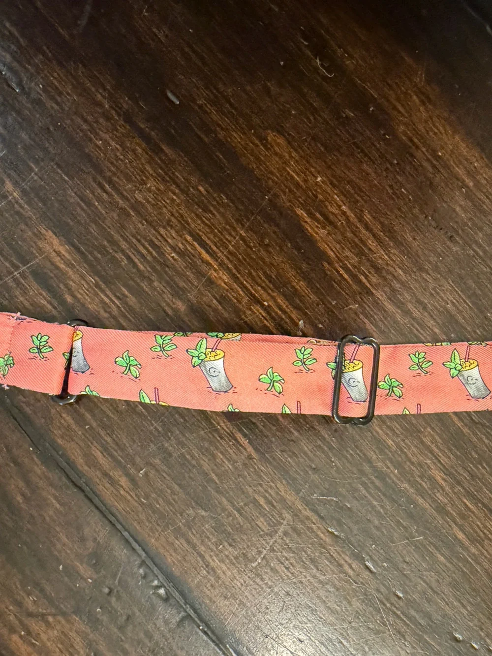 Alynn stylish coral